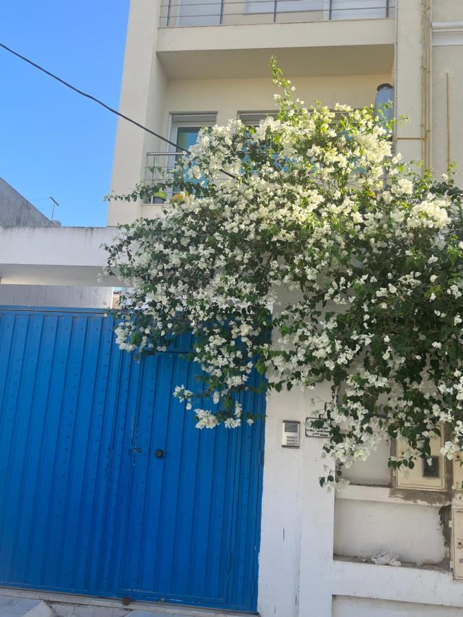 شقة Sublime Duplex Au Bardo Tunis باردو المظهر الخارجي الصورة